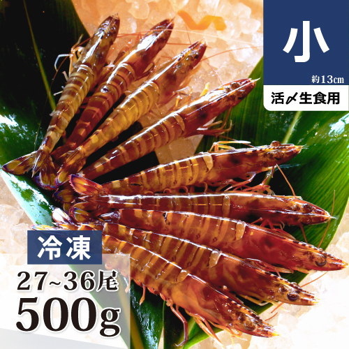 車海老ページ Sサイズ 冷凍車海老 中｜車海老の球屋